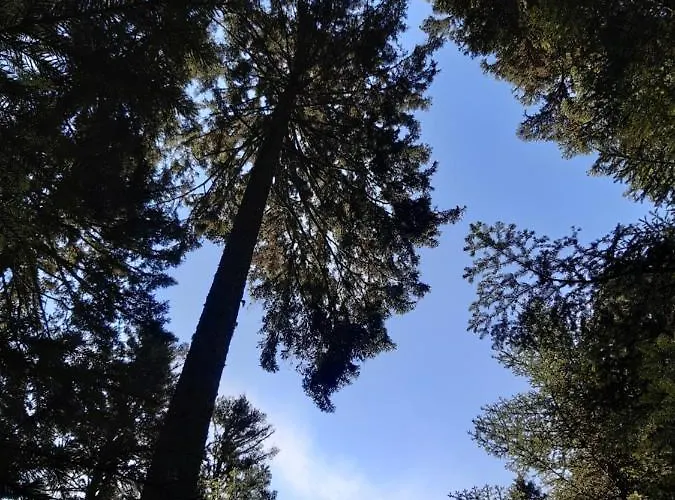 Apartmán L'ecrin Des Vosges Gérardmer